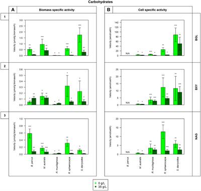 Release of cell-free enzymes by marine pelagic fungal strains